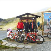 GAVIA 2