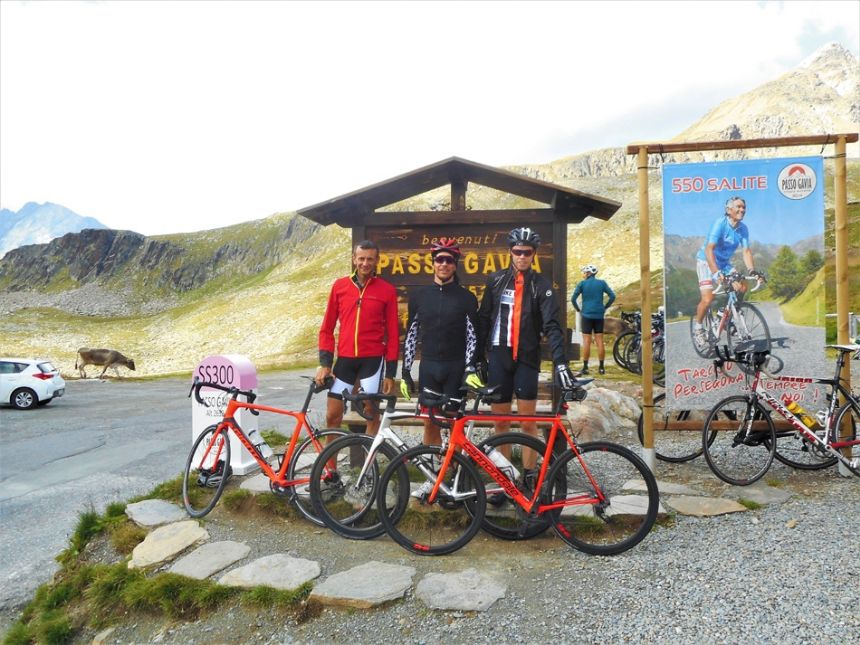 GAVIA 2