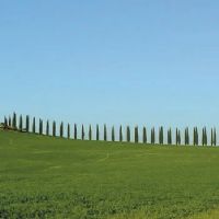 BIKE TOUR SIENA TO ISLE OF ELBA