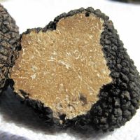 TRUFFLES