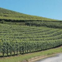 PIEDMONT & BIKE ADVENTURE FLAVORS and LANSCAPES