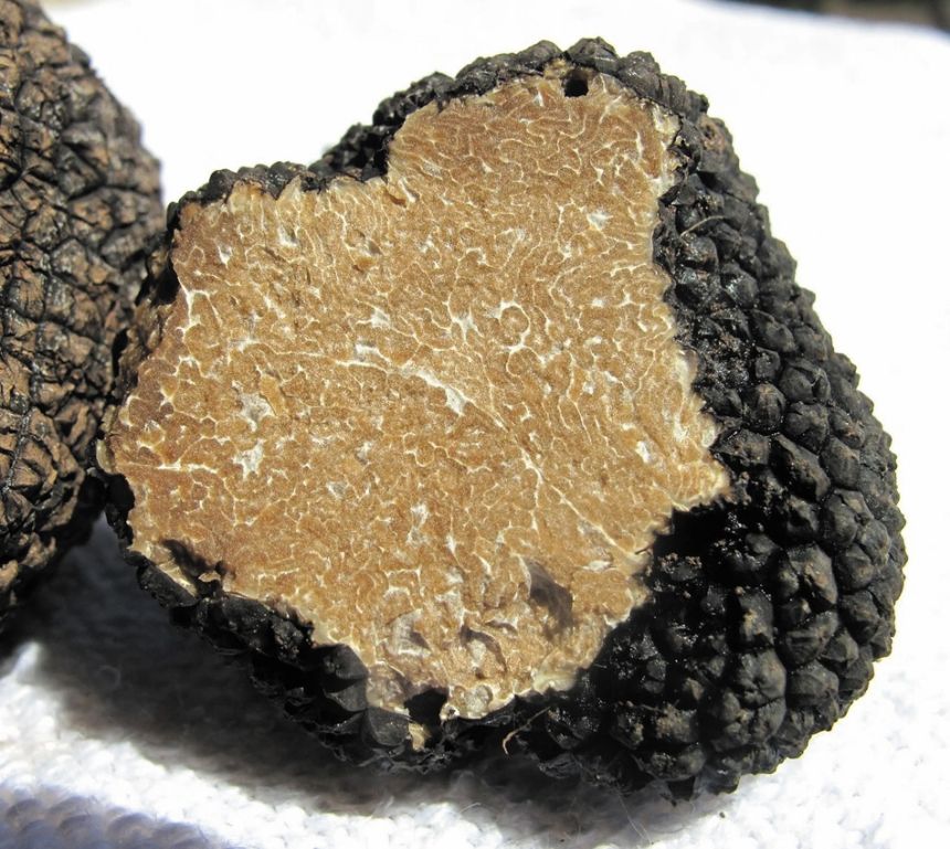 TRUFFLES
