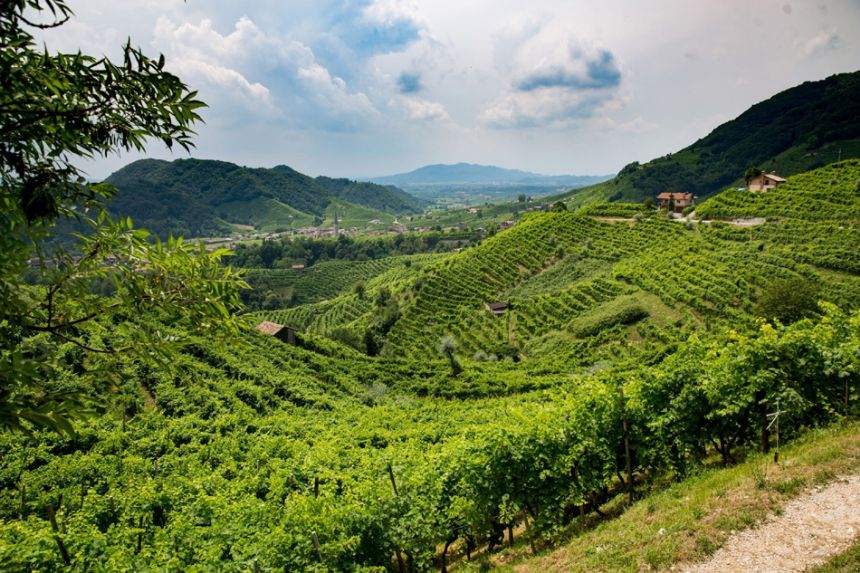VALDOBBIADENE HILLS, PROSECCO AND THE MOST PRECIOUS GRAPES