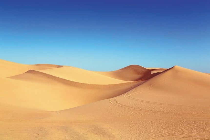 LA VITA NEL DESERTO