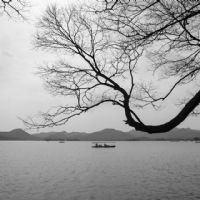 Magic Hangzhou