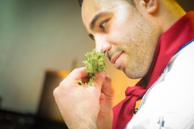 PRIVATE CHEFS IN EXCLUSIVE CHALETs, DE LUXE HOMES, YACHTS